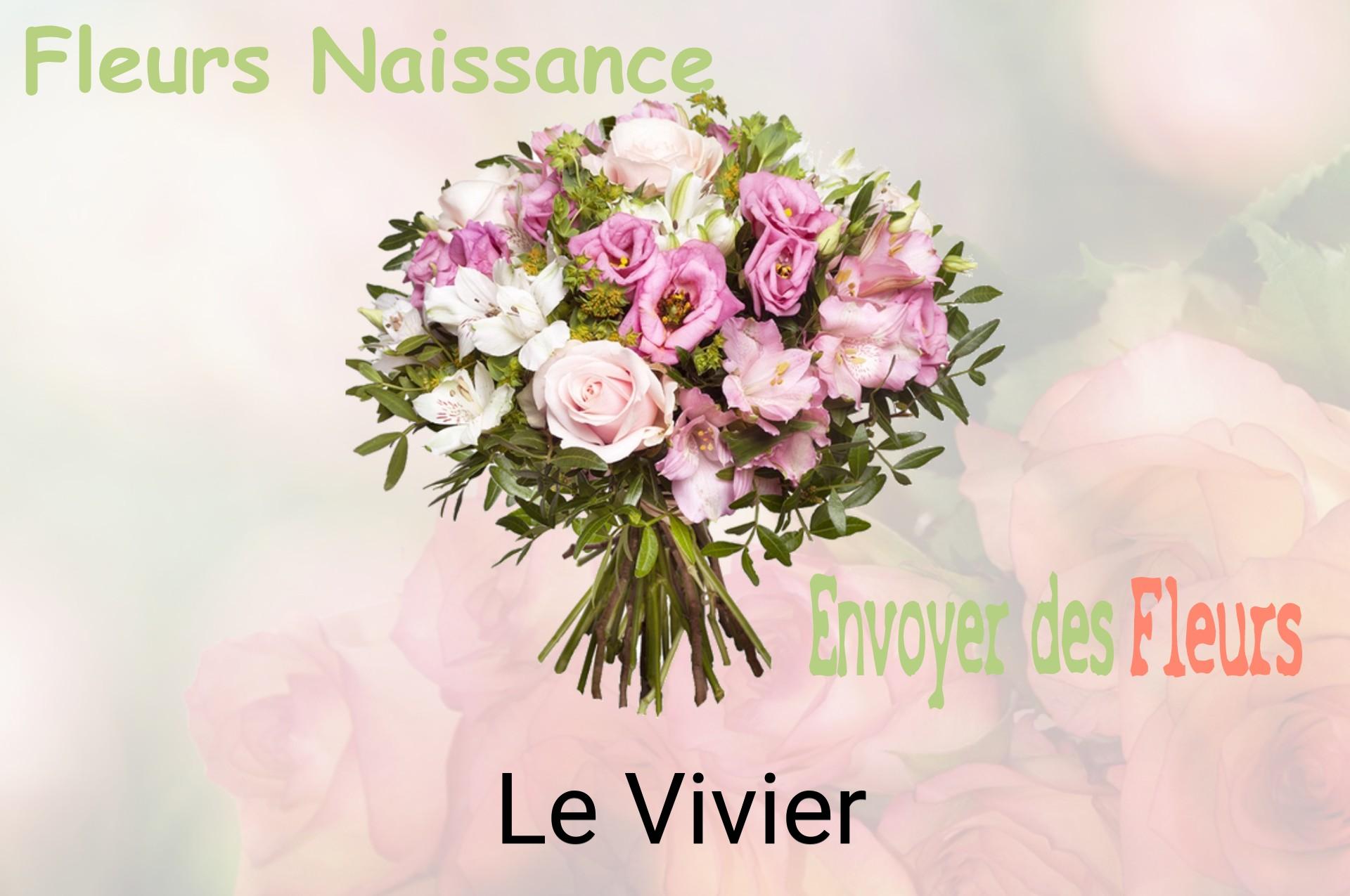 Bouquet de fleurs de naissance livré à Le Vivier